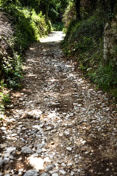 Ormanın ortasında çok kayalık bir yol. Tonlarca küçük taş, kayalar, kumlar. Turist bir yere bu küçük yol geçen bir maceracı yürüyüş var.