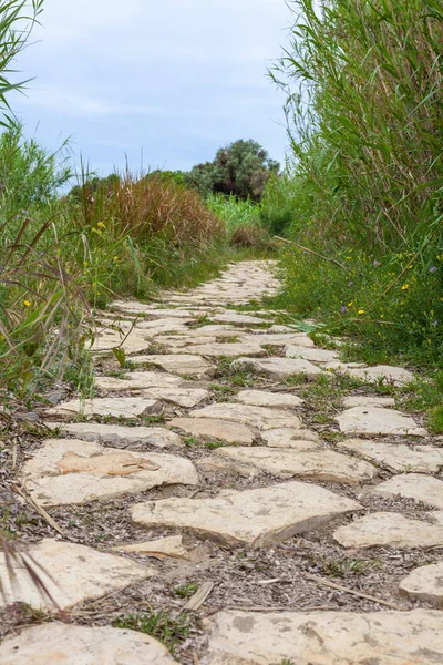 Dar yol başlığı daha vahşi. Çim ve düşen yaprakları kaldırım kaplama. Kaba blok taş yolun ortasında gömülü. Orman trekking ve uzak macera