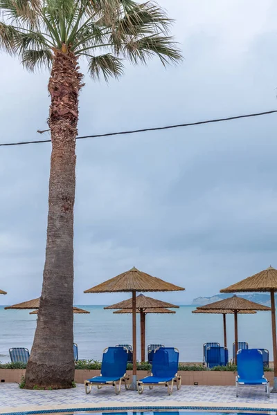 Wooden umbrellas screening the sun rays. Lazy portable chairs facing the pool and the ocean. Palm tree standing in between. Resort amenities design ideas