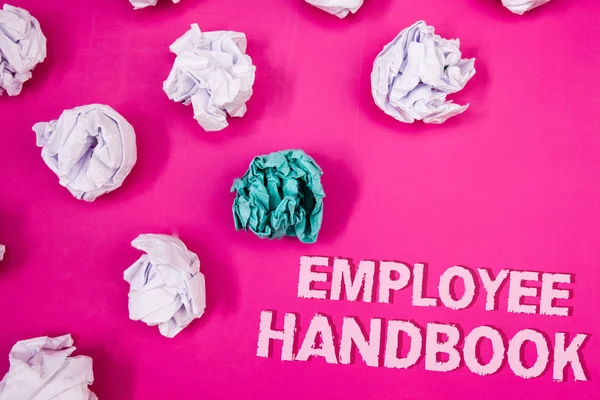 Text sign showing Employee Handbook. Conceptual photo Document Manual Regulations Rules Guidebook Policy Code Text Words pink background crumbled paper notes white blue stress angry
