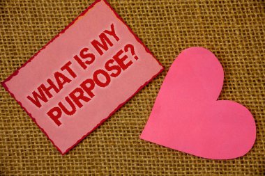 Writing note showing  What Is My Purpose Question. Business photo showcasing Direction Importance Discernment Reflection Lavender pink page with red border content pink paper heart lovely clipart