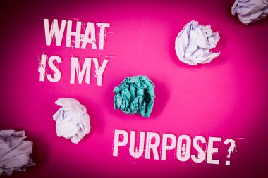 Handwriting text What Is My Purpose Question. Concept meaning Direction Importance Discernment Reflection Light pink floor circled shadow ruffled white paper balls middle green ball clipart