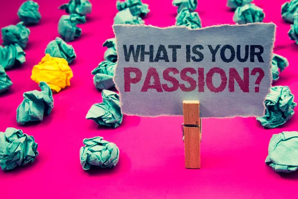 Ne Your Passion sorudur gösterilen Not yazma. İş fotoğraf vitrine birisi hayallerini hakkında soran ve umut zümrüt Kağıt topları sarı topak pembe kat ataç gri sayfa korumak