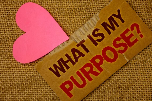Word Writing Text What Purpose Question Business Concept Direction Importance — Stock Photo, Image