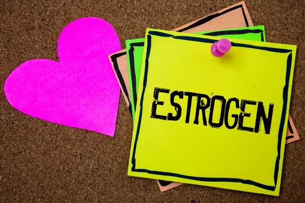 Aplikace Word Psaní Textu Estrogen Obchodní Koncept Pro Skupinu Hormonů — Stock fotografie