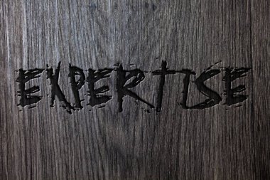 Word metin yazma uzmanlık. İş kavramı uzman beceri ya da bilgi bir alanda deneyim bilgelik ahşap tahta arka plan siyah kazınmış harflerle için fikirler mesajlar kavramlar kelimeler