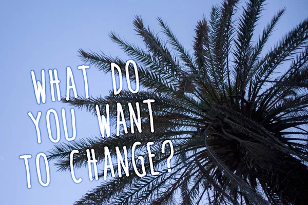 Handwriting text What Do You Want To Change Question. Concept meaning Strategy Planning Decision Objective Tall palm tree blue sky ideas messages thoughts feelings reflections