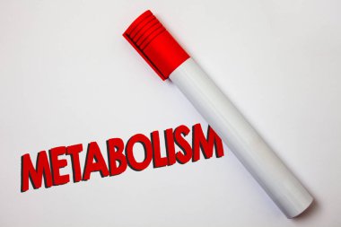 Metabolizma gösterilen Not yazma. Kimyasal vitrine iş fotoğraf kalın tahta kalem kırmızı mürekkep işareti kap kağıt sınıf çalışma mevcut ders işleme enerji gıda üretmek için gövdesini işler