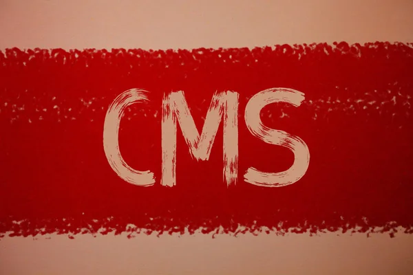 Текстовий Знак Показує Cms Концептуальна Фотографія Система Управління Контентом Підтримує — стокове фото