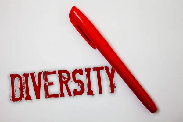 Text Sign Showing Diversity Conceptual Photo Being Composed Different Elements — Stock Photo, Image