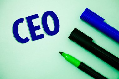 CEO yazma el yazısı metin. Şef memur kafa patron Oturum Başkanı Başkan denetleyicisi fikirler mesajlar duygular niyetleri yansıma işaretleri anlam kavramı arka plan beyaz