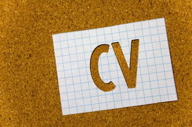 Yapılacaklar listesi fotoğraf özgeçmiş özgeçmiş Infographics iş aramaya çalışan işe alım Cork arka plan defter kağıt fikirler mesajlar düşünceler CV. kavramsal gösterilen metin işaret hatırlıyorum