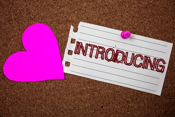 手写文字介绍 概念意思提出一个主题或某人最初的方法第一次会议片断笔记本纸垃圾想法粉红色的心软木背景爱可爱 — 图库照片