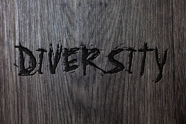 Parola Che Scrive Testo Diversità Business Concept Being Composto Diversi — Foto Stock