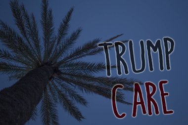Trump bakım gösterilen metin işareti. Kavramsal fotoğraf değiştirme için uygun bakım yasası Amerika Birleşik Devletleri'nde ağacı palmiye gök mavisi doğal sahne manzara aşk mesaj anılar güzel gösterir