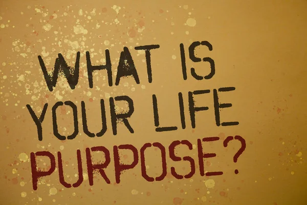 Word Writing Text What Your Life Purpose Question Business Concept — Stock Photo, Image