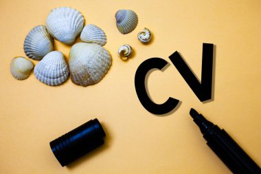 Kavramsal el yazma gösteren Cv. iş fotoğraf metin özgeçmiş özgeçmiş Infographics iş aramaya çalışan işe alım sarı arka plan gölge açmak marker kabukları beach bellek anılar