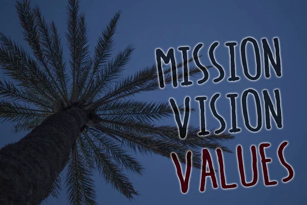 Text sign showing Mission Vison Values. Conceptual photo planning for future improvement Career Right decisions Tree palm sky blue natural scene landscape love message memories beautiful