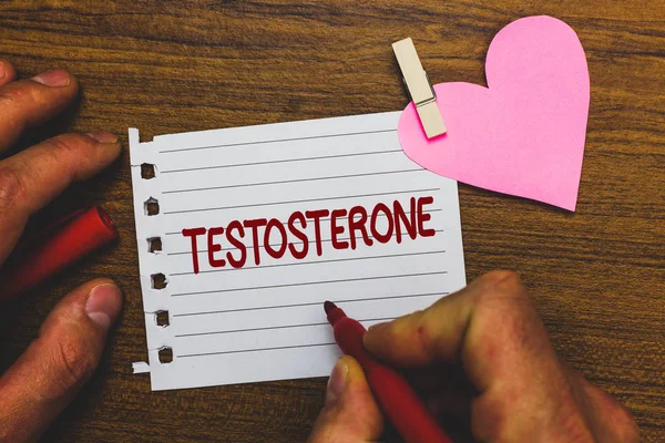 Escribir Nota Que Muestra Testosterona Foto Negocios Mostrando Hormonas Masculinas — Foto de Stock