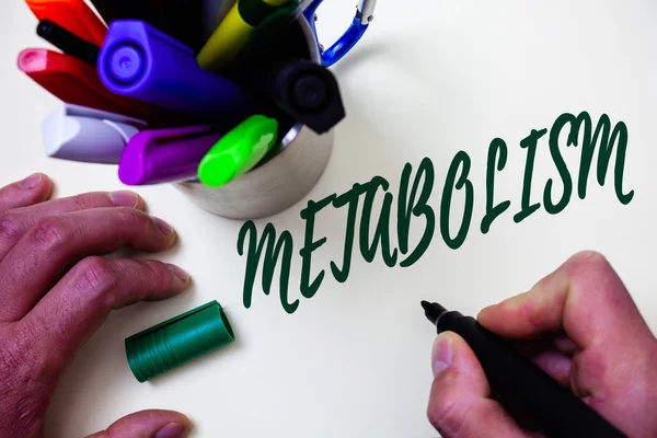 Texto Para Escrever Palavras Metabolismo Conceito Negócio Para Processos Químicos — Fotografia de Stock
