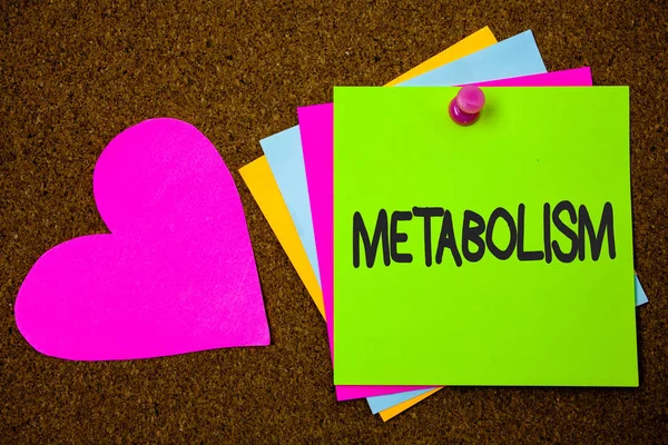 Handskrift Text Skriver Metabolism Konceptet Innebär Kemiska Processer Kroppen Att — Stockfoto
