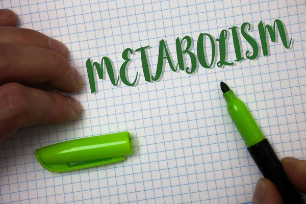Escritura Manual Conceptual Que Muestra Metabolismo Texto Foto Del Negocio — Foto de Stock