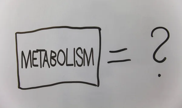 Escribiendo Nota Mostrando Metabolismo Foto Negocios Mostrando Procesos Químicos Cuerpo — Foto de Stock