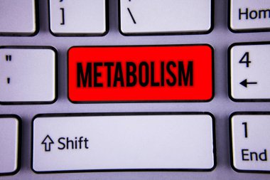 Kavramsal el metabolizma gösterilen yazma. İş fotoğraf metin kimyasal enerji gıda işleme klavye office yazım iş tıklayın ata düğmesini bilgisayar programı üretmek için vücut içinde işler.