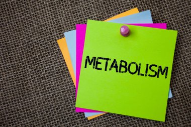 Metabolizma yazma el yazısı metin. Kavram anlam kimyasal işlemler vücutta enerji üretmek için gıda yapışkan kartları tutturulmuş kurulu sendromlari renkler işleme hatırlıyorum fikir Jüt arka plan