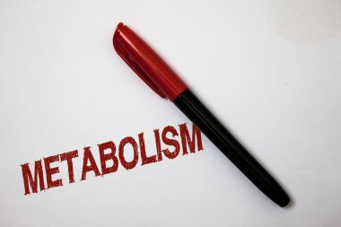 Metabolizma gösterilen Not yazma. İş fotoğraf vitrine kimyasal enerji gıda Softliner işaretçisi mürekkep el yazısı Not kalem kırtasiye madde kağıt iş işleme üretmek vücutta işler