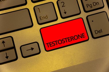Testosteron gösterilen metin işareti. Kavramsal fotoğraf erkek hormonları geliştirme ve stimülasyon spor madde klavye kahverengi anahtar sarı dizüstü yaratıcı bilgisayar tuş takımı netbook notebook