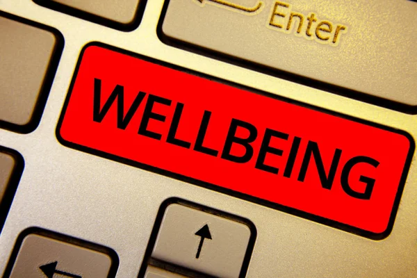 Text Sign Showing Wellbeing Conceptual Photo Healthy Lifestyle Conditions People — Stock Photo, Image