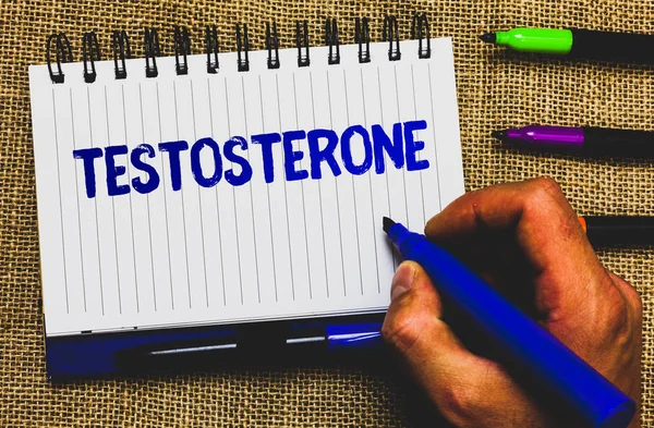 Escritura Manual Conceptual Que Muestra Testosterona Foto Negocios Mostrando Hormonas — Foto de Stock