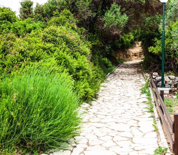 Muhteşem taş yolu ile bulutlar olmadan şaşırtıcı parlak mavi gökyüzü altında harika yeşil çalılar çevrili şık yan çit. Bir sürü ağaç barikat ile basit kaya rouad ile taşra.