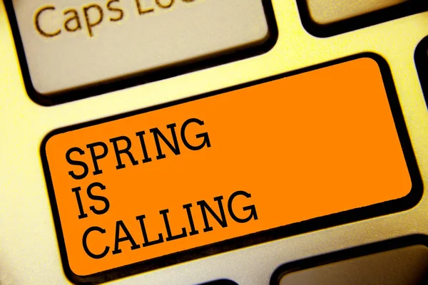 Escritura Manual Conceptual Que Muestra Spring Calling Texto Foto Negocios —  Fotos de Stock