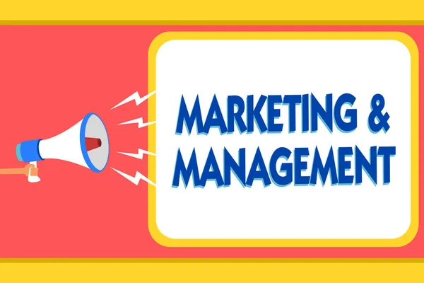 Tekst Teken Tonen Van Marketing Management Conceptuele Foto Proces Van — Stockfoto