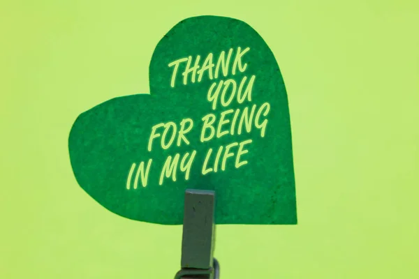 概念性手写显示感谢你在我的生活 商业照片展示爱一个人在你身边 Clothespin 捧着绿纸心浪漫的留言想法 — 图库照片
