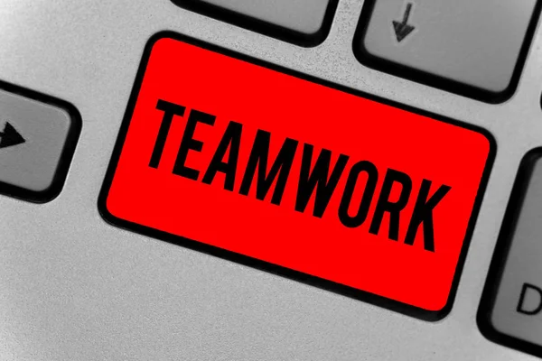 Tekst Teken Weergegeven Teamwork Conceptuele Foto Groep Van Mensen Die — Stockfoto