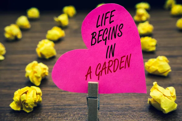 概念性手写显示生命始于花园 商业照片文本农业植物生长爱园艺回形针持有粉红色书面心脏木地板与黄色 Lob — 图库照片