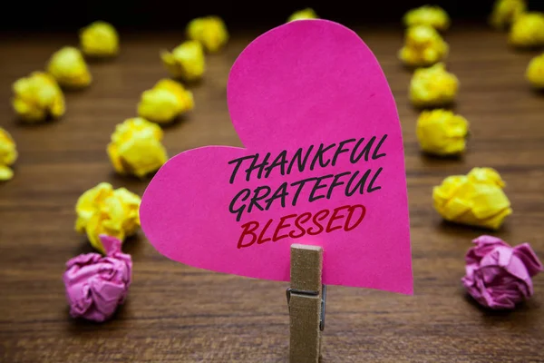 Znak Tekstowy Wyświetlono Wdzięczny Wdzięczny Błogosławiony Koncepcyjne Zdjęcie Uznanie Wdzięczność — Zdjęcie stockowe