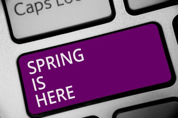 Texto Escritura Palabras Spring Here Concepto Negocio Para Después Temporada —  Fotos de Stock