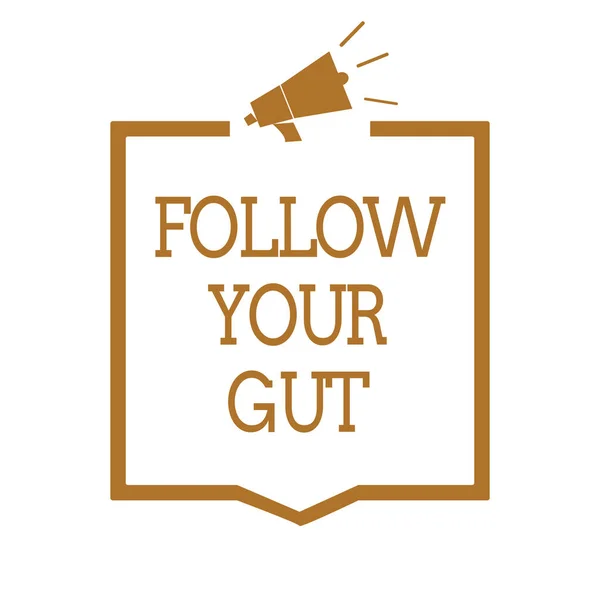 Signo Texto Que Muestra Follow Your Gut Foto Conceptual Escuchar — Foto de Stock