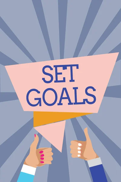 Conceptual Hand Writing Showing Set Goals Business Photo Text Defining — Stock Photo, Image