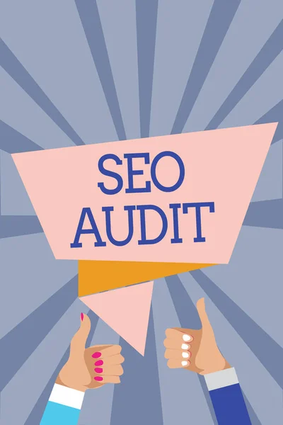 Conceptual Hand Writing Showing Seo Audit Business Photo Text Search — Stock Photo, Image