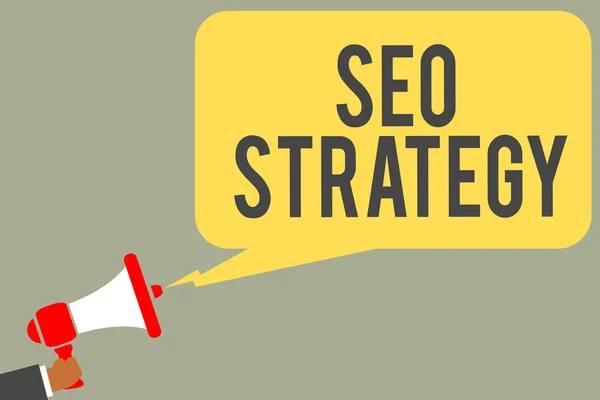Conceptual hand writing showing Seo Strategy. Business photo text Techniques and tactics to increase the visitors of a website Man holding megaphone loudspeaker speech bubble message speaking. — Stock Photo, Image