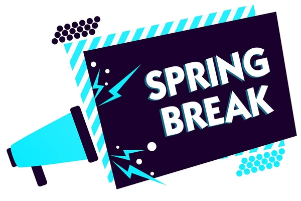 Handwriting text Spring Break. Concept meaning Vacation period at school and universities during spring Megaphone loudspeaker blue striped frame important message speaking loud. — Stock Photo, Image