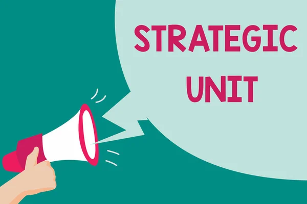 स्ट्रॅटेजिक युनिट दर्शविणारे संकल्पनात्मक हात लेखन. व्यवसाय फोटो मजकूर नफा केंद्र उत्पादन अर्पण आणि बाजार विभाग लक्ष केंद्रित . — स्टॉक फोटो, इमेज