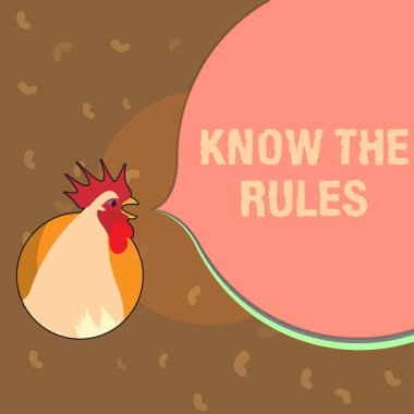 Kavramsal el The Rules biliyorum gösterilen yazma. İş fotoğraf metin öğrenmek kabul edilen ilke veya yönergeleri izleyin