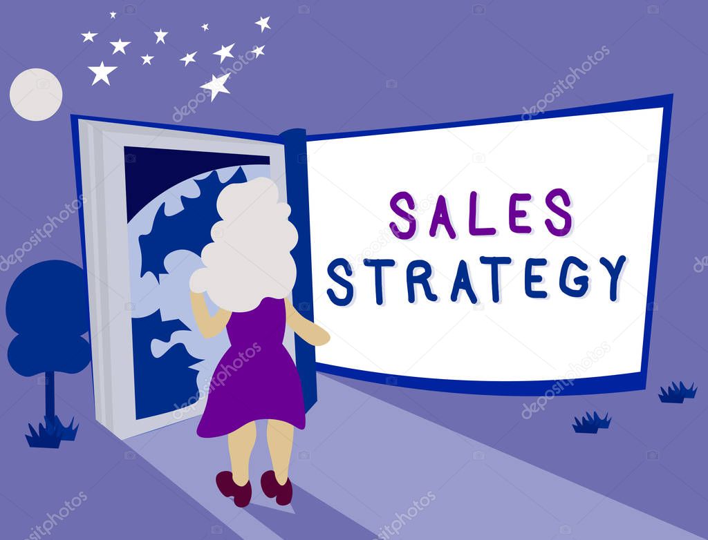 Text sign showing Sales Strategy. Conceptual photo Plan for reaching and selling to your target market Marketing