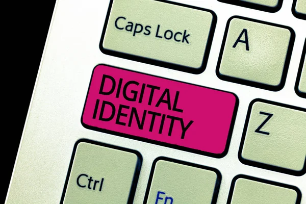 Text sign showing Digital Identity. Conceptual photo information on entity used by computer to represent agent